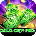 2011 world cup VIP New