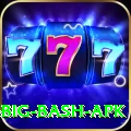 bbl big bash apk Turbo v5.4.5