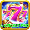 bbl cricket Max Slots