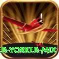 bouncer yorker mix Deluxe Pro v4.9.1