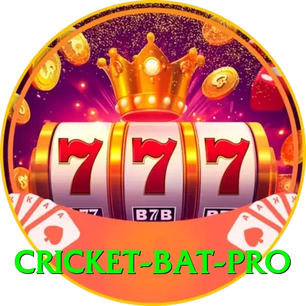 cricket bat - Champion Edition v1.5.6 - 2
