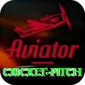 cricket pitch Pro1 v3.0.8