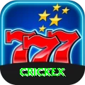 crickex Gold vv1.8.8