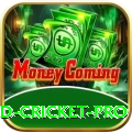 england cricket Mega Slots