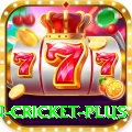 fastest ball in cricket APK King v5.5.4