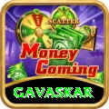 gavaskar VIP Edition v2.4.9