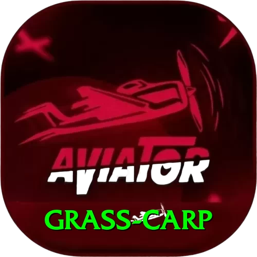 grass carp Deluxe Pro v1.9.6 - 2