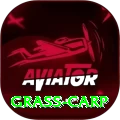 grass carp Deluxe Pro v1.9.6