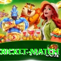 india cricket match Max v4.7.1
