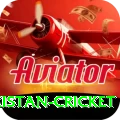 india pakistan cricket Master Pro v1.0.1