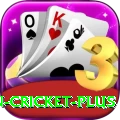 india pakistan cricket - Max Edition v3.9.4