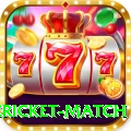 international cricket match Deluxe v2.1.3