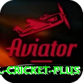 international cricket Gaming Super v2.1.1