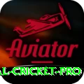 international cricket Master Latest v4.3.7