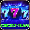ireland cricket team VIP Pro v4.7.5