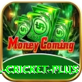 most runs in international cricket - Turbo Earning App