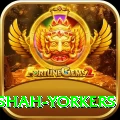 naseem shah yorkers Master v4.8.2