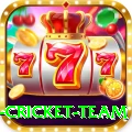 new zealand cricket team Deluxe Edition v1.5.0