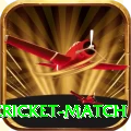 next cricket match Deluxe v1.6.2