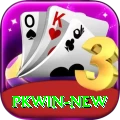 PKWin APK Max v2.4.3