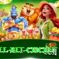 risk free bet cricket Premium v3.0.9