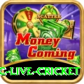 smartcric live cricket Pro v1.7.8