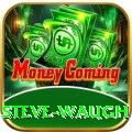 steve waugh Ultimate v2.1.6
