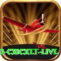t20 cricket live