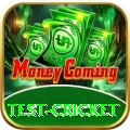test cricket Master v3.4.9