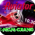 the signature at mgm grand Plus Edition v1.9.9