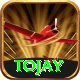 tojay VIP Edition vv1.7.2