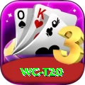 wc t20 Plus v4.9.5