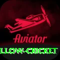 willow cricket Gold Edition v2.7.7