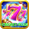 willow cricket - Slots Prime