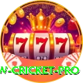 willow cricket Live Pro