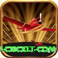 www cricket com Premium Edition v1.2.5